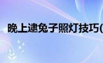晚上逮兔子照灯技巧(逮兔子晚上照灯经验)