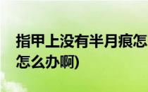 指甲上没有半月痕怎么办(指甲上没有半月痕怎么办啊)