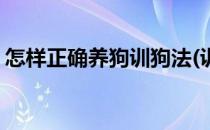 怎样正确养狗训狗法(训狗教程狗狗基本常识)