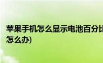苹果手机怎么显示电池百分比(苹果手机怎么显示电池百分比怎么办)