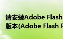 请安装Adobe Flash Player 10.2.0或者更高版本(Adobe Flash Player10.2.0)