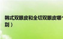 韩式双眼皮和全切双眼皮哪个效果好（韩式双眼皮和全切区别）