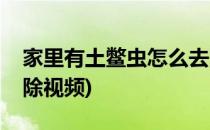 家里有土鳖虫怎么去除(家里有土鳖虫怎么去除视频)