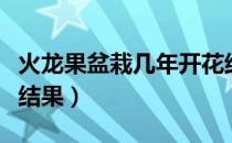 火龙果盆栽几年开花结果（火龙果盆栽几年能结果）