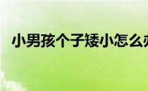 小男孩个子矮小怎么办（个子矮小怎么办）