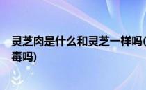 灵芝肉是什么和灵芝一样吗(灵芝肉是什么?和灵芝一样吗有毒吗)