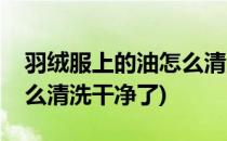 羽绒服上的油怎么清洗干净(羽绒服上的油怎么清洗干净了)
