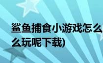 鲨鱼捕食小游戏怎么玩呢(鲨鱼捕食小游戏怎么玩呢下载)