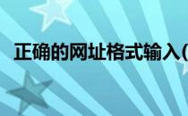 正确的网址格式输入(网址的正确输入方式)