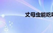 丈母虫能吃吗（丈母虫）