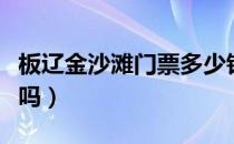 板辽金沙滩门票多少钱（金山城市沙滩要门票吗）
