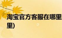 淘宝官方客服在哪里(我的淘宝官方客服在哪里)