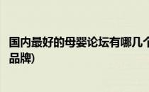 国内最好的母婴论坛有哪几个(国内最好的母婴论坛有哪几个品牌)