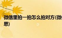 微信里拍一拍怎么拍对方(微信里拍一拍怎么拍对方是什么意思)