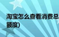 淘宝怎么查看消费总额(淘宝怎么查看消费总额度)
