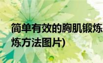 简单有效的胸肌锻炼方法(简单有效的胸肌锻炼方法图片)