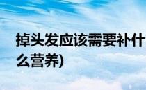 掉头发应该需要补什么(掉头发应该需要补什么营养)