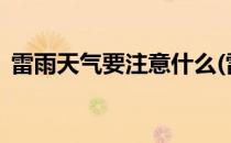 雷雨天气要注意什么(雷雨天气要注意什么?)