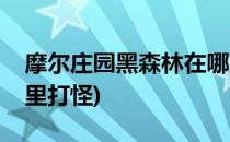 摩尔庄园黑森林在哪里(摩尔庄园黑森林在哪里打怪)