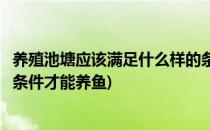 养殖池塘应该满足什么样的条件(养殖池塘应该满足什么样的条件才能养鱼)