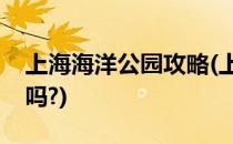 上海海洋公园攻略(上海海洋公园攻略有烟火吗?)