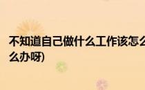 不知道自己做什么工作该怎么办(不知道自己做什么工作该怎么办呀)