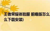 王者荣耀体验服 前瞻版怎么下载(王者荣耀体验服 前瞻版怎么下载安装)