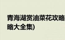 青海湖赏油菜花攻略大全(青海湖赏油菜花攻略大全集)