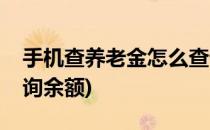 手机查养老金怎么查询(手机查养老金怎么查询余额)