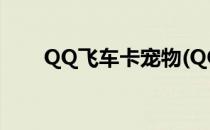 QQ飞车卡宠物(QQ飞车卡宠物坐骑)