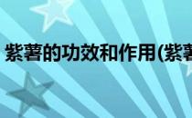 紫薯的功效和作用(紫薯的功效和作用是什么)
