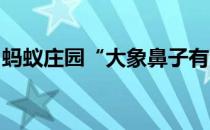 蚂蚁庄园“大象鼻子有没有骨头”答案是什么
