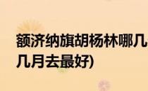 额济纳旗胡杨林哪几天最美(额济纳旗胡杨林几月去最好)