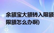 余额宝大额转入限额怎么办(余额宝大额转入限额怎么办啊)