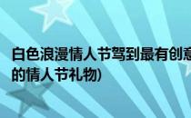 白色浪漫情人节驾到最有创意的礼物你还不收下(实用又浪漫的情人节礼物)