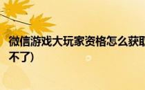 微信游戏大玩家资格怎么获取(微信游戏大玩家资格怎么获取不了)