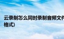 云录制怎么同时录制音频文件(云录制怎么同时录制音频文件格式)