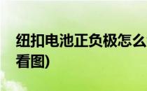 纽扣电池正负极怎么看(纽扣电池正负极怎么看图)