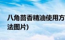 八角茴香精油使用方法(八角茴香精油使用方法图片)