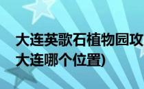 大连英歌石植物园攻略(大连英歌石植物园在大连哪个位置)