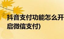 抖音支付功能怎么开启(抖音支付功能怎么开启微信支付)