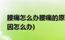腰痛怎么办腰痛的原因有哪些(腰痛是什么原因怎么办)