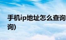 手机ip地址怎么查询(苹果手机ip地址怎么查询)