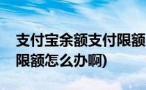 支付宝余额支付限额怎么办(支付宝余额支付限额怎么办啊)