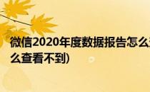 微信2020年度数据报告怎么查看(微信2020年度数据报告怎么查看不到)