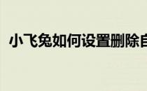 小飞兔如何设置删除自动推送搜索引擎代码