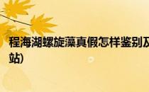 程海湖螺旋藻真假怎样鉴别及防伪查询(程海湖螺旋藻官方网站)