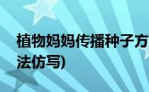 植物妈妈传播种子方法(植物妈妈传播种子方法仿写)