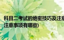 科目二考试的绝密技巧及注意事项(科目二考试的绝密技巧及注意事项有哪些)