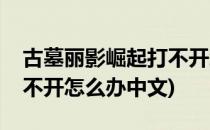 古墓丽影崛起打不开怎么办(古墓丽影崛起打不开怎么办中文)